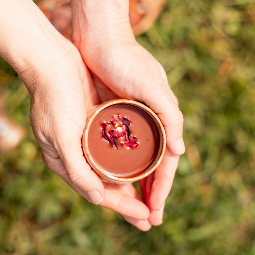 procacao-1
