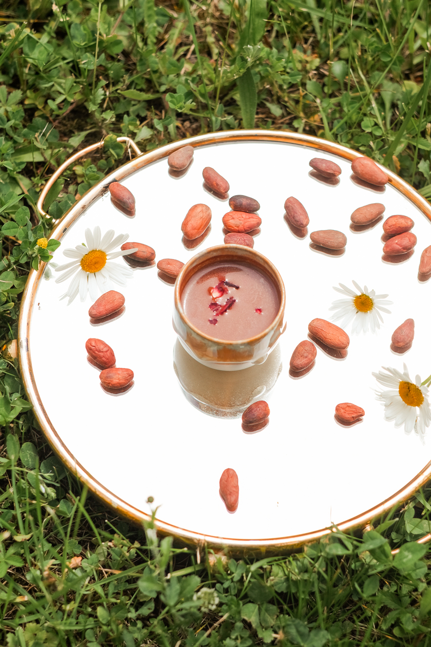 procacao-2